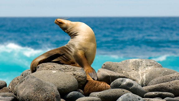 Galapagos Islands