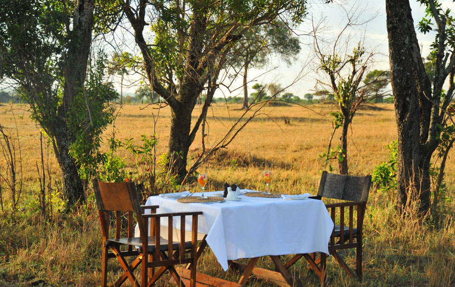 Lemala Ndutu Mobile Tented Camp, Serengeti National Park, Tanzania - 2023 /  2024