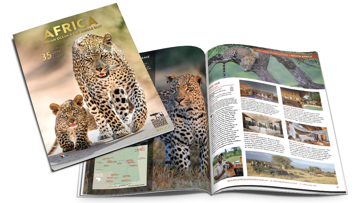 african safari brochure pdf