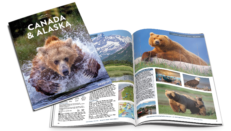 Canada & Alaska Brochure