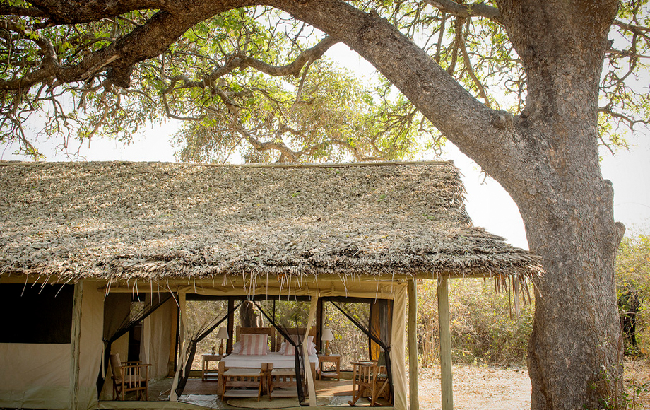 Kigelia Camp in Tanzania