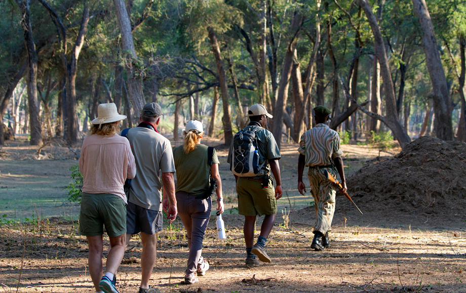 Walking Safari in Zambia Walking Safari in Zambia