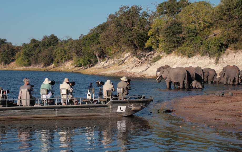Boat cruise viewing elephants in the Chobe River