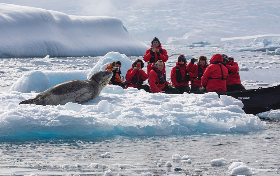 Silversea-Cruises-Zodiac-Excursion Zodiac Excursion in Antarctica getting close to a seal