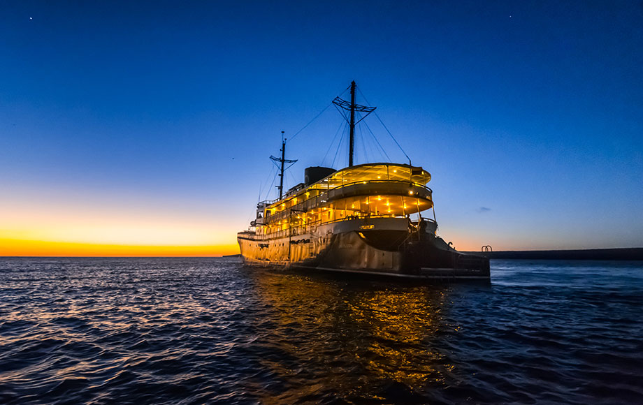 Quasar the Evolution Quasar Expeditions the Evolution