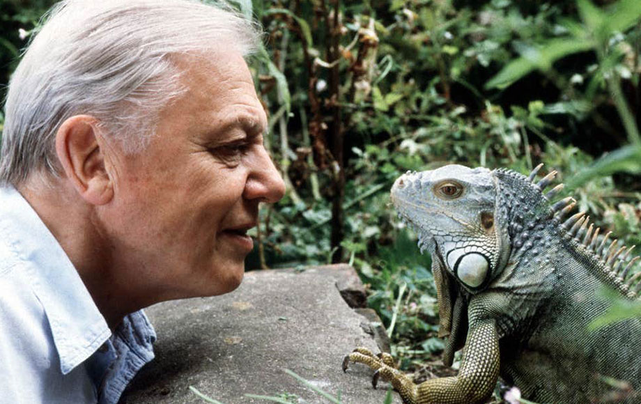 David Attenborough on the Galapagos Islands