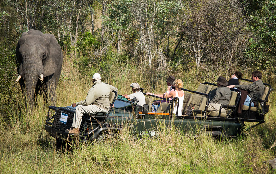 Safari game drive with guide tracker and guests