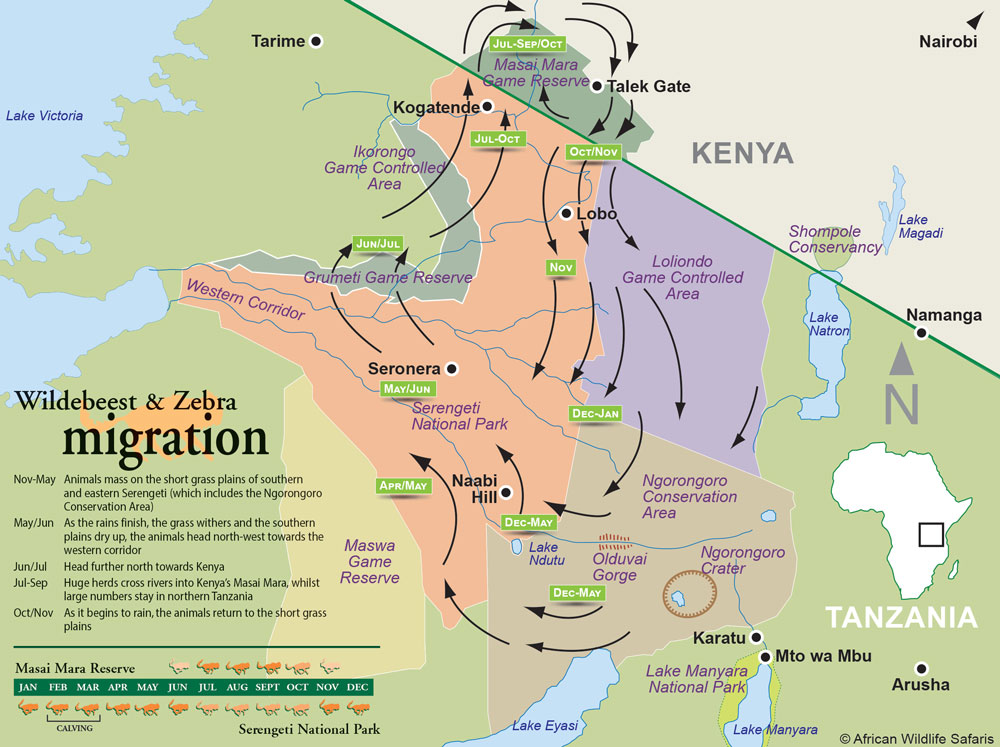 Map of the the Wildebeest and Zebra migration in Tanzania and Kenya