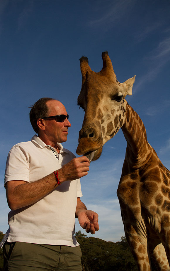 Steve Feeding Giraffe at Giraffe Manor