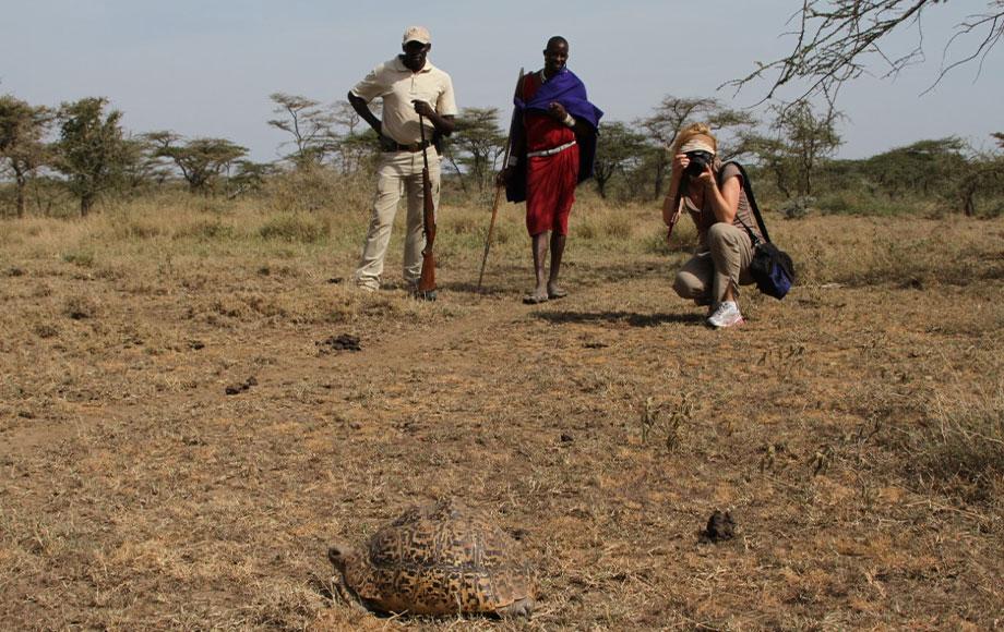 Sara photographing leopard tortoise