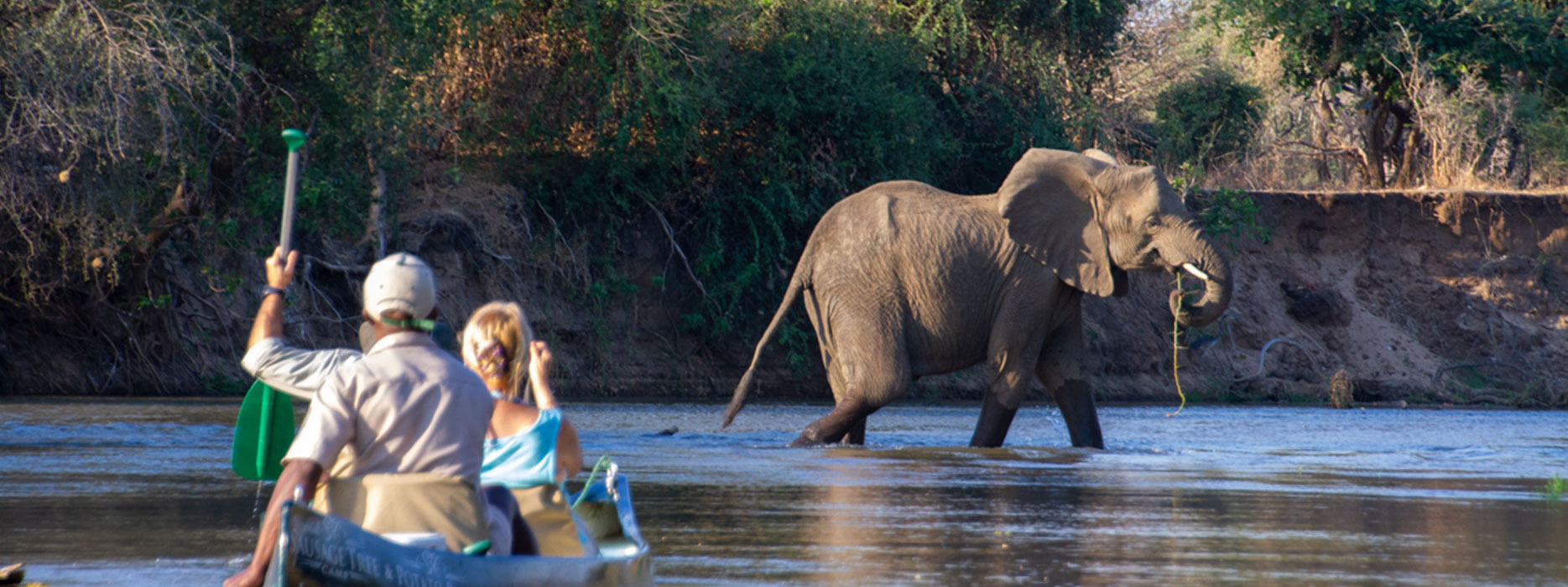 Canoeing in the Zambezi River in Zambia Canoeing in the Zambezi River in Zambia