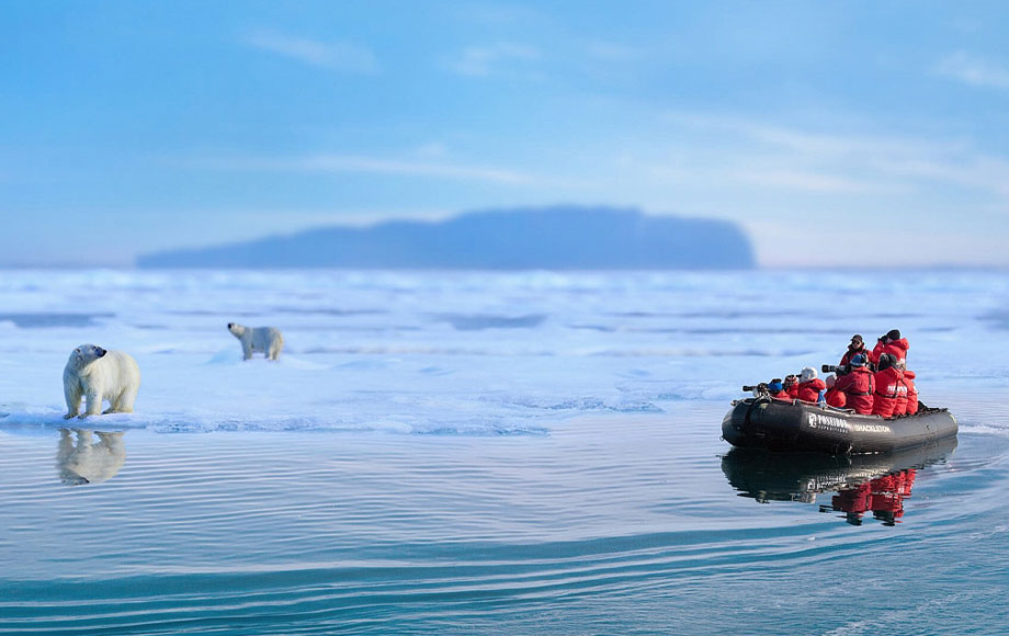 Zodiac cruise around Franz Josef Land and Spitsbergen encountering Seals