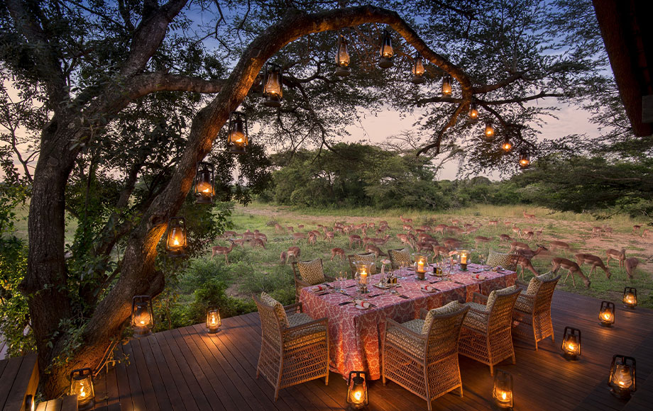 Phinda Vlei Dining with Impala