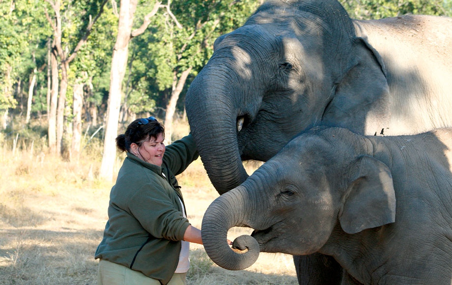 Annie in India