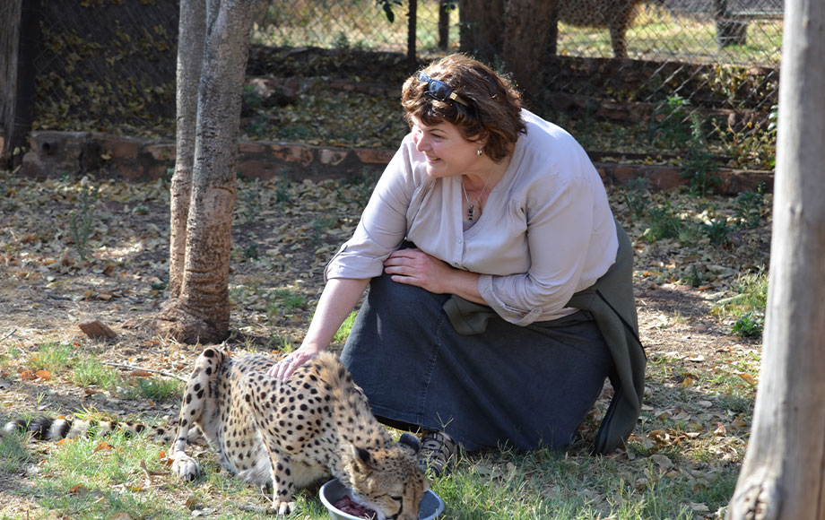 Annie with a cheetah at the African Vet Safari Group