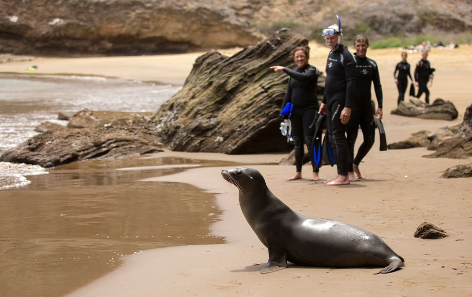 Getting close with a Sea Lion