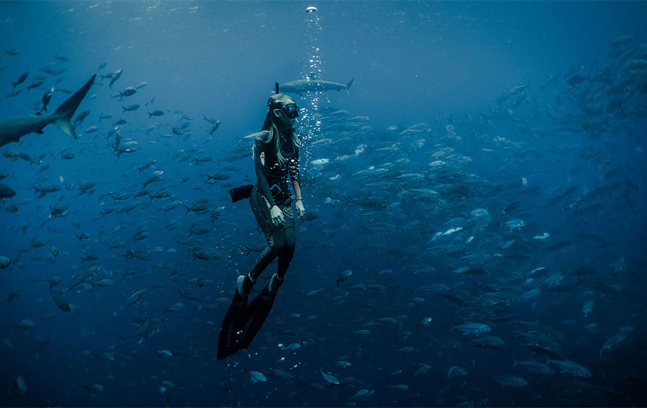 Snorkelling in the Galapagos Islands