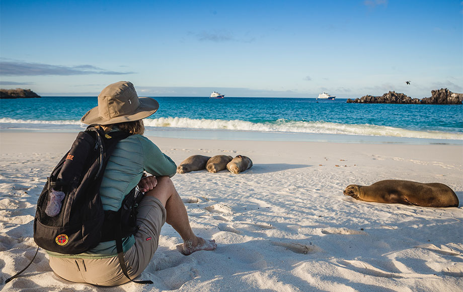 Sea Lion Encounter