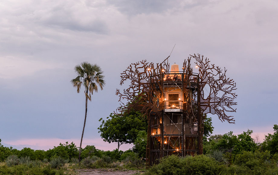 Xigera Baobab Tree House Xigera Baobab Tree House