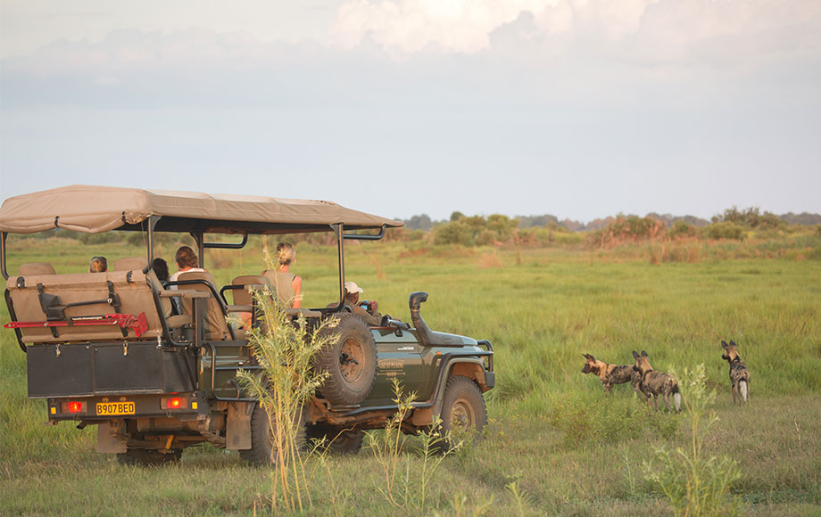 Safari Experience at Duba Plains Camp