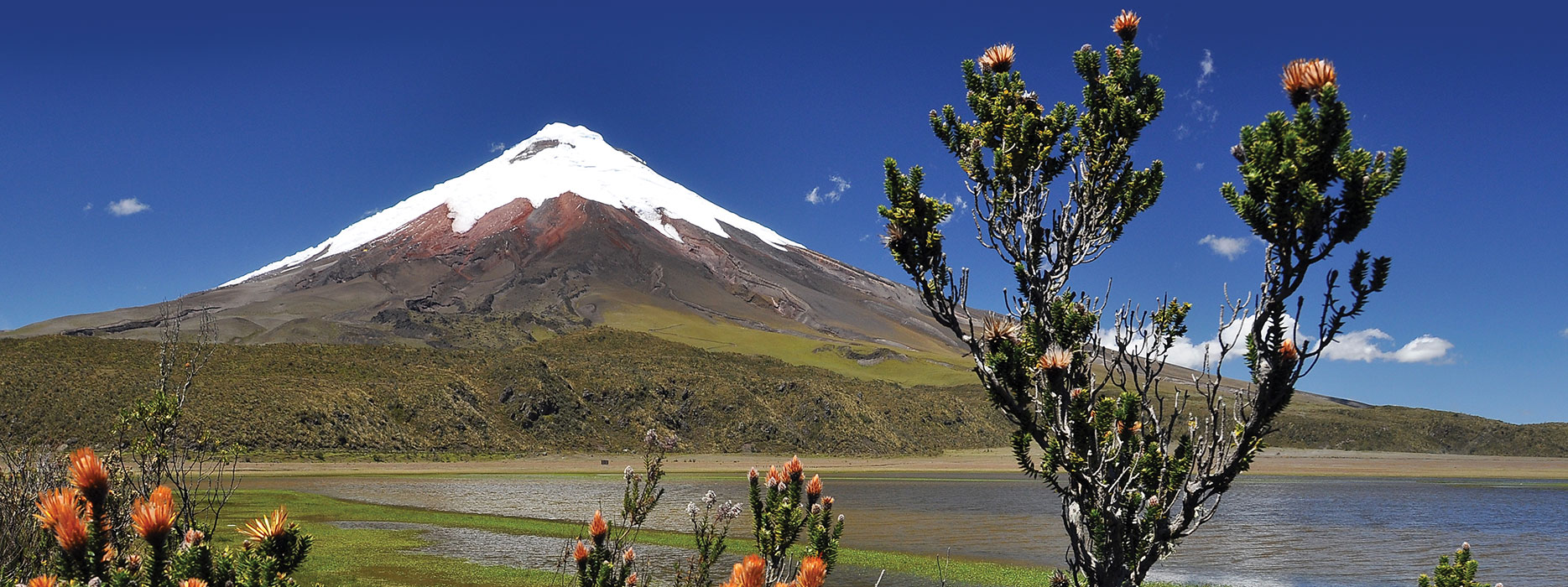 Cotopaxi Volcanoe in Ecuador