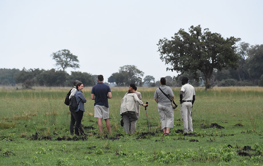 Walking Safari in Botswana