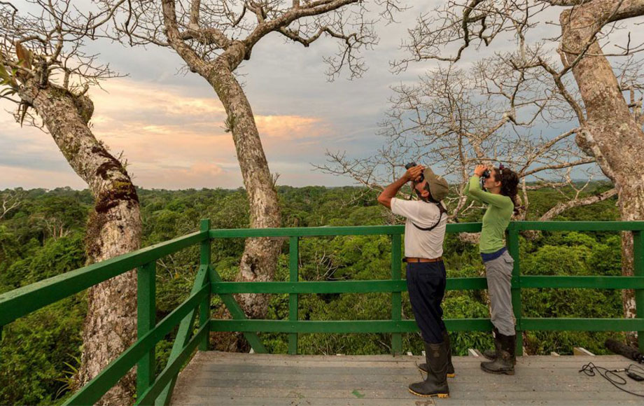 Napo Wildlife Center Tree house