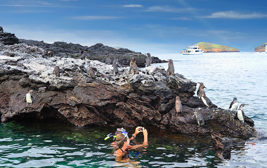 Snorkelling in the Galapagos Islands