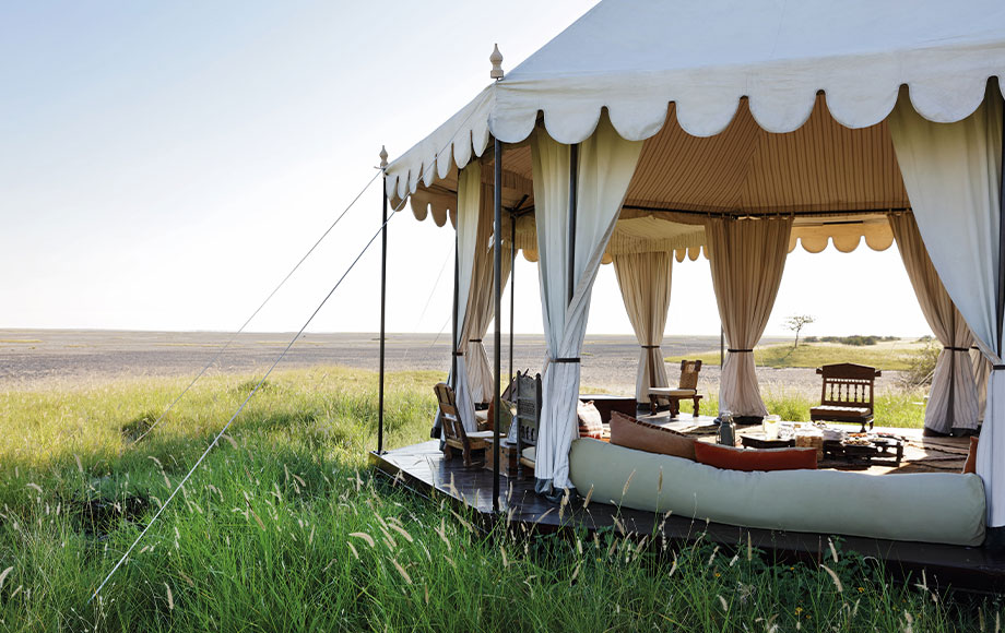 San Camp Tea Tent San Camp Tea Tent