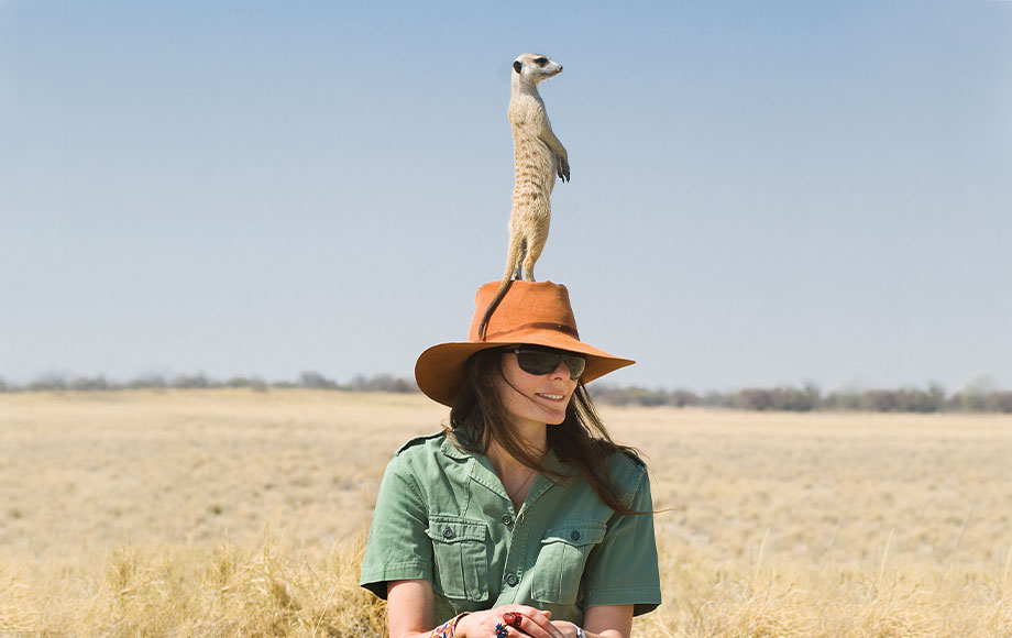 Meerkat standing on guest's head