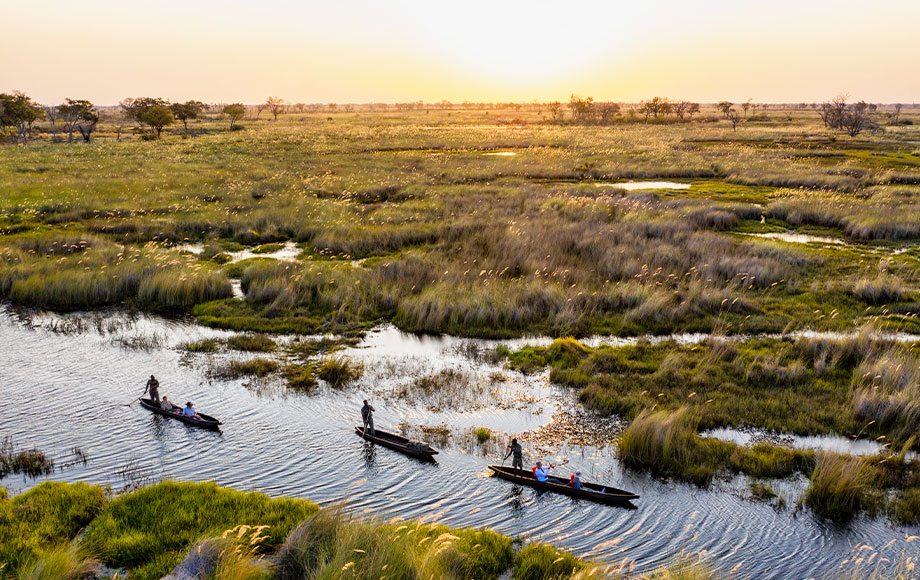 Mokoroing trhough the Okavango Delta