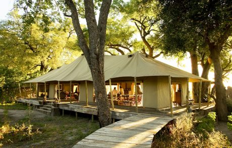 Zarafa Camp in Botswana