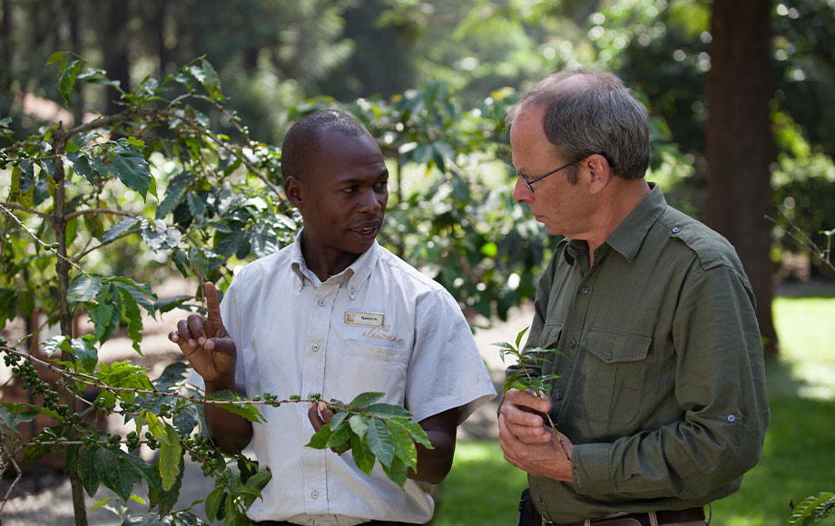 Picking Coffee