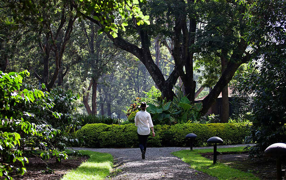 Arusha Coffee Lodge Gardens