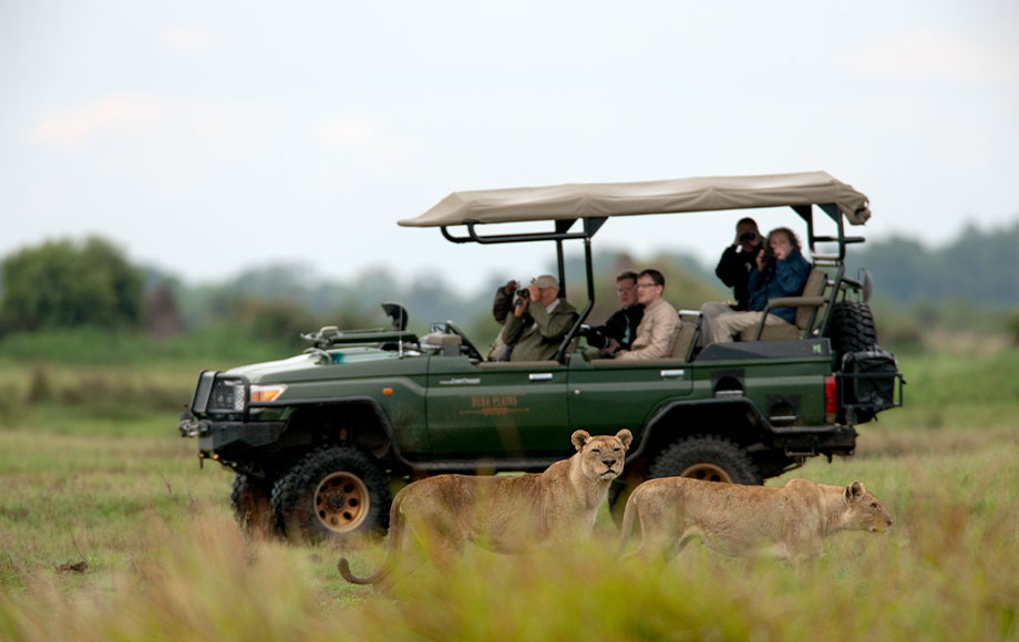 Game drive at Duba Explorers Camp