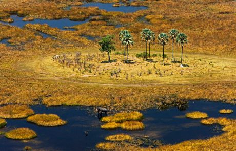 Open plains at Zarafa Camp