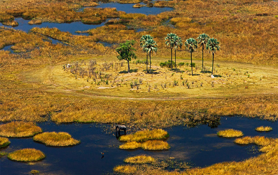 Open plains at Zarafa Camp