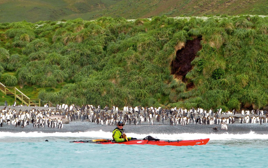 Kayaking in the Sub Antarctic Islands