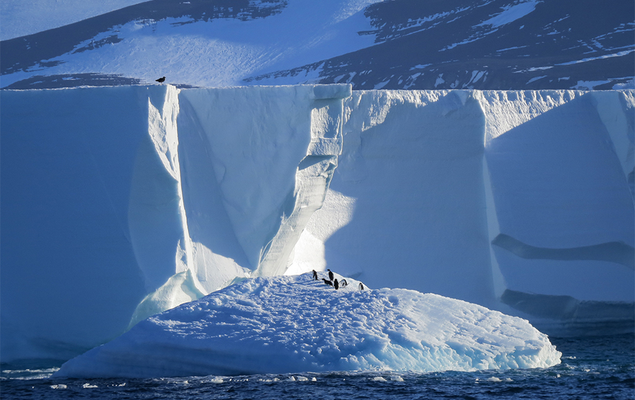 Penguins on Ice Bergs in Antarctica and the Ross Sea
