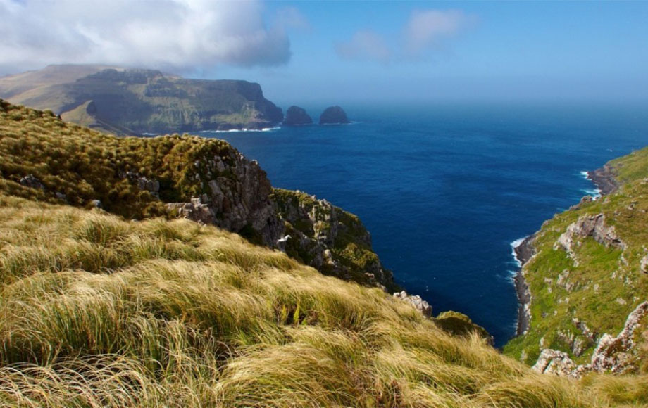 Auckland Islands