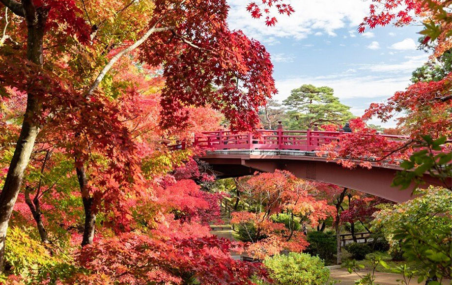 Niigata Yahiko Park