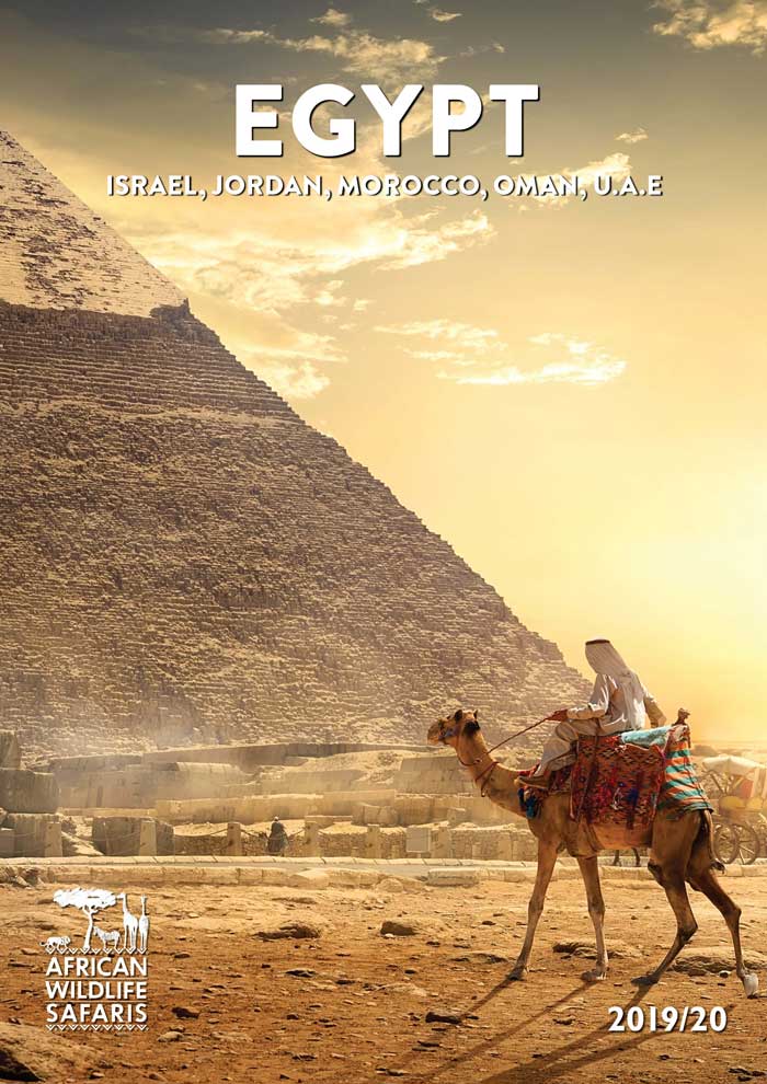 Egypt Brochure Cover