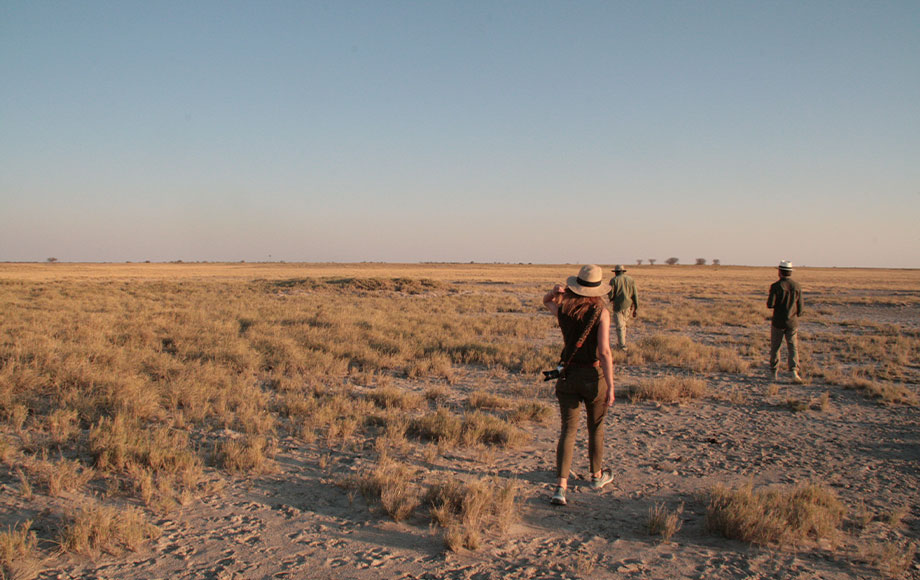 Walking in the Kalahari