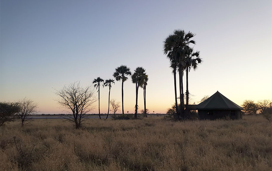 Camping in the Kalahari