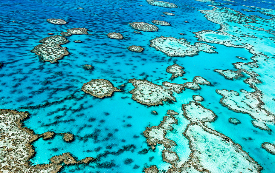 Great Barrier Reef