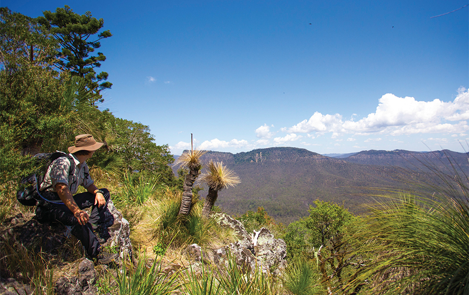 People Hiking the Scenic Rim Trail