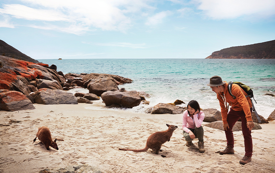 Tasmania's Freycinet Bay