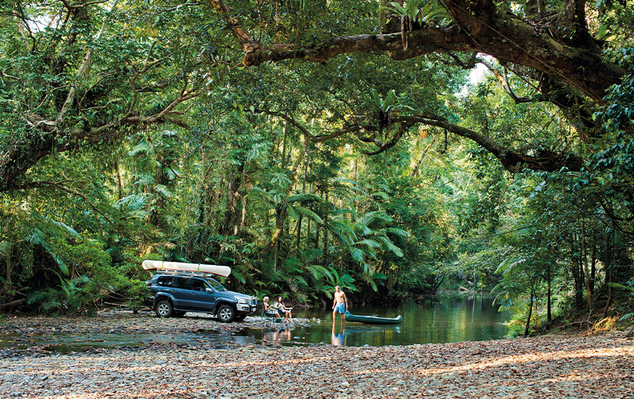 Daintree Forest National Park