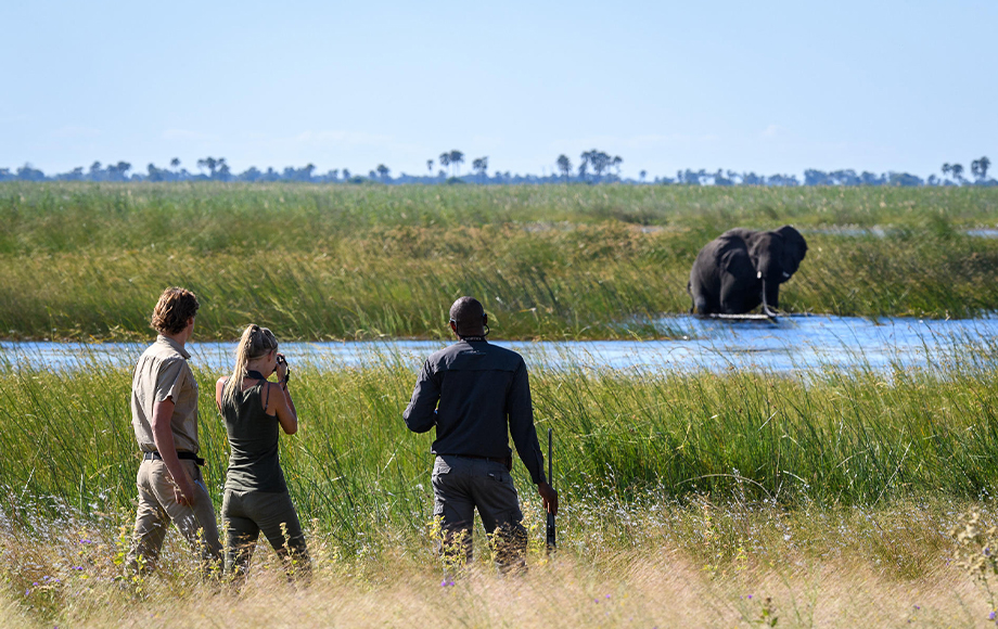 Walking Safari at Duma Tau