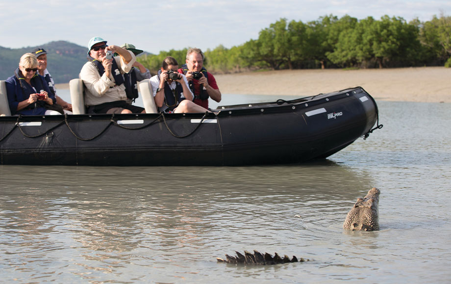 Guests watching a crocodile during a Zodiac excursion on the Hunter River